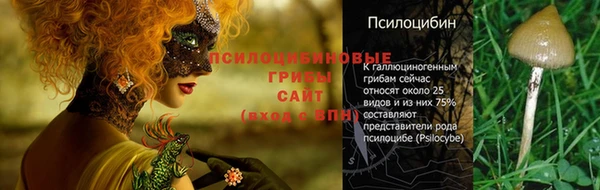 MDMA Армянск
