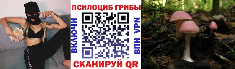 Псилоцибиновые грибы Psilocybe  Мензелинск 